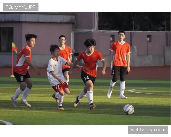 南通足球迈上新台阶：青训体系+校园普及，打造体育强市新标杆