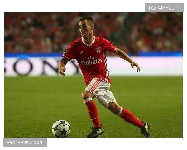 格里马尔多本菲卡时期表现稳健，成名轨迹解析